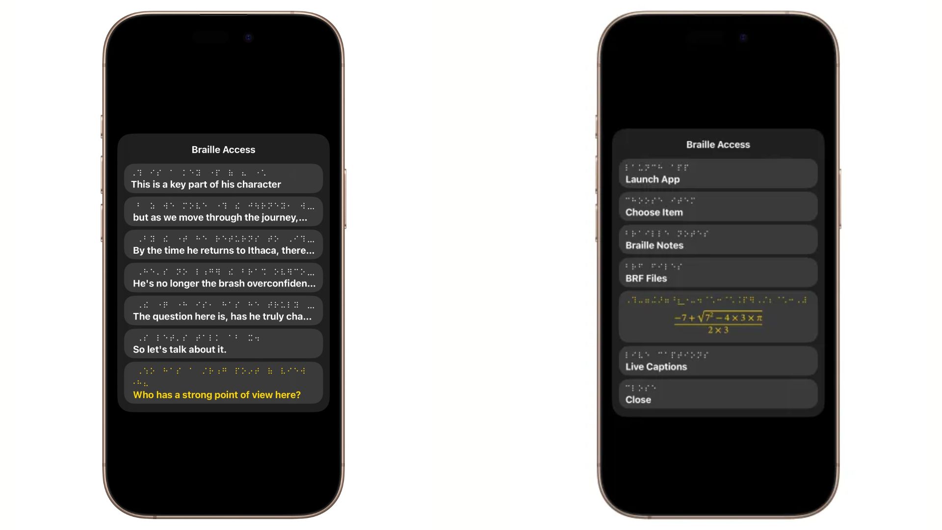 Accessibility Reader